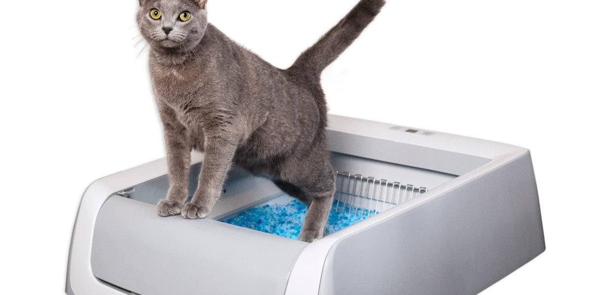 Why Choose Pawtechpet Cat Litter Box Automatic Cleaning for Your Home?