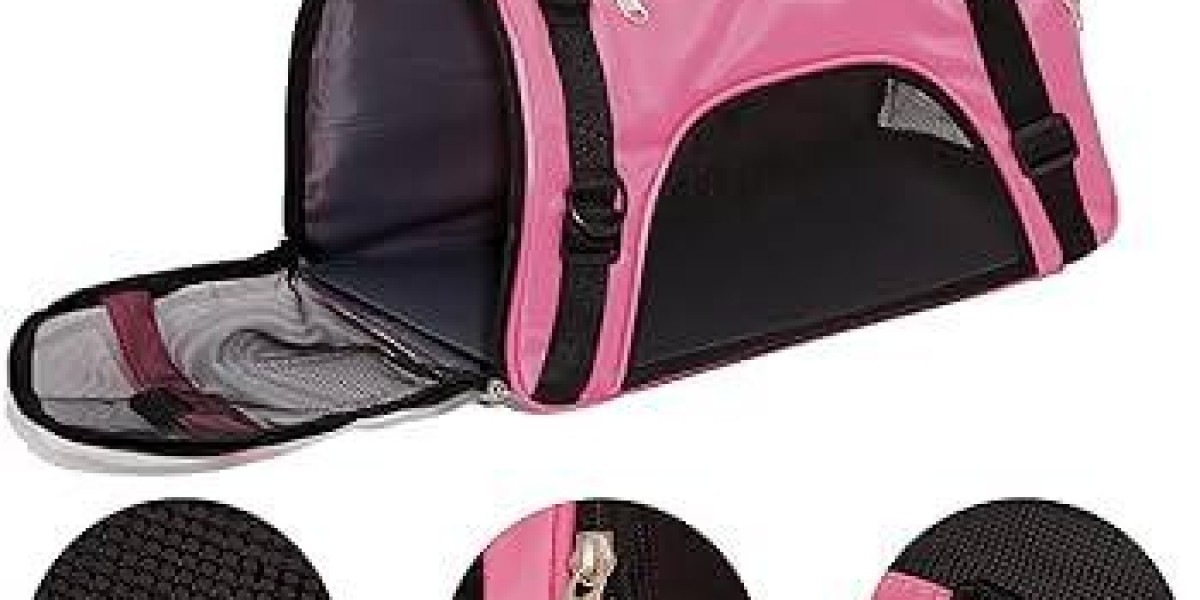 What Do Pawtechpet Pet Carriers Offer Families