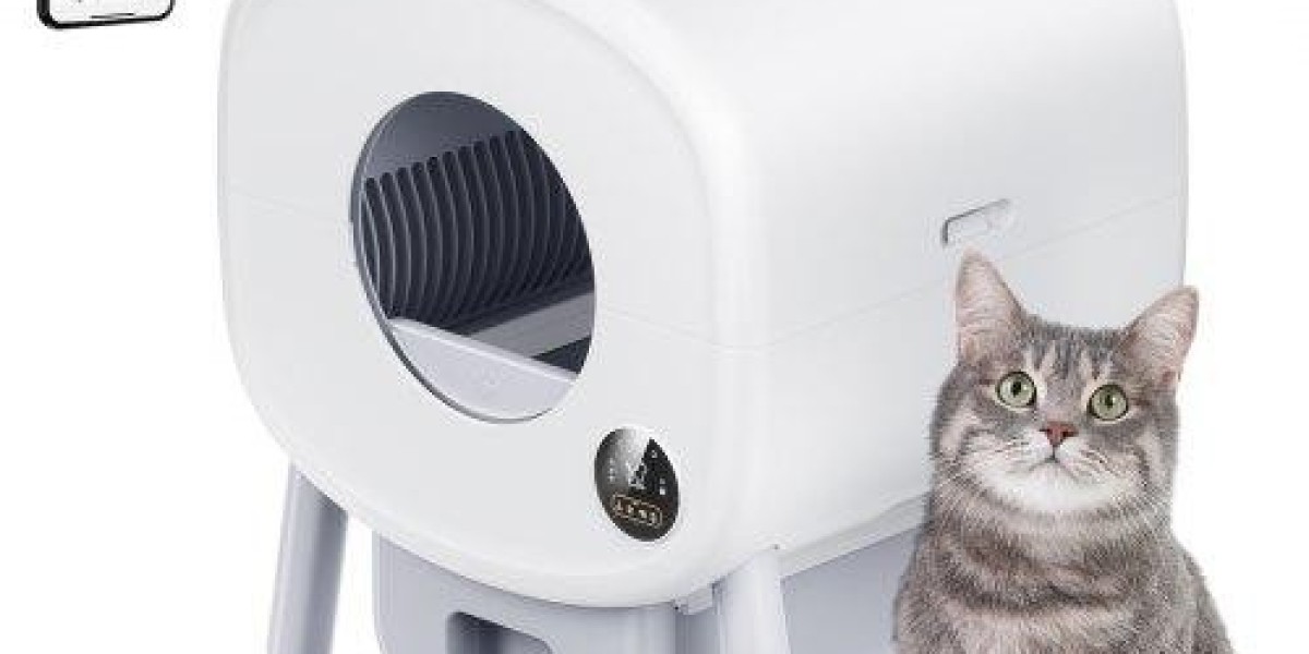 Is Pawtechpet Automatic Cat Litter Box the Key to Stress-Free Care
