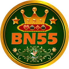 BN55 Game Download APK (Real Earning App) in Pakistan (2025)